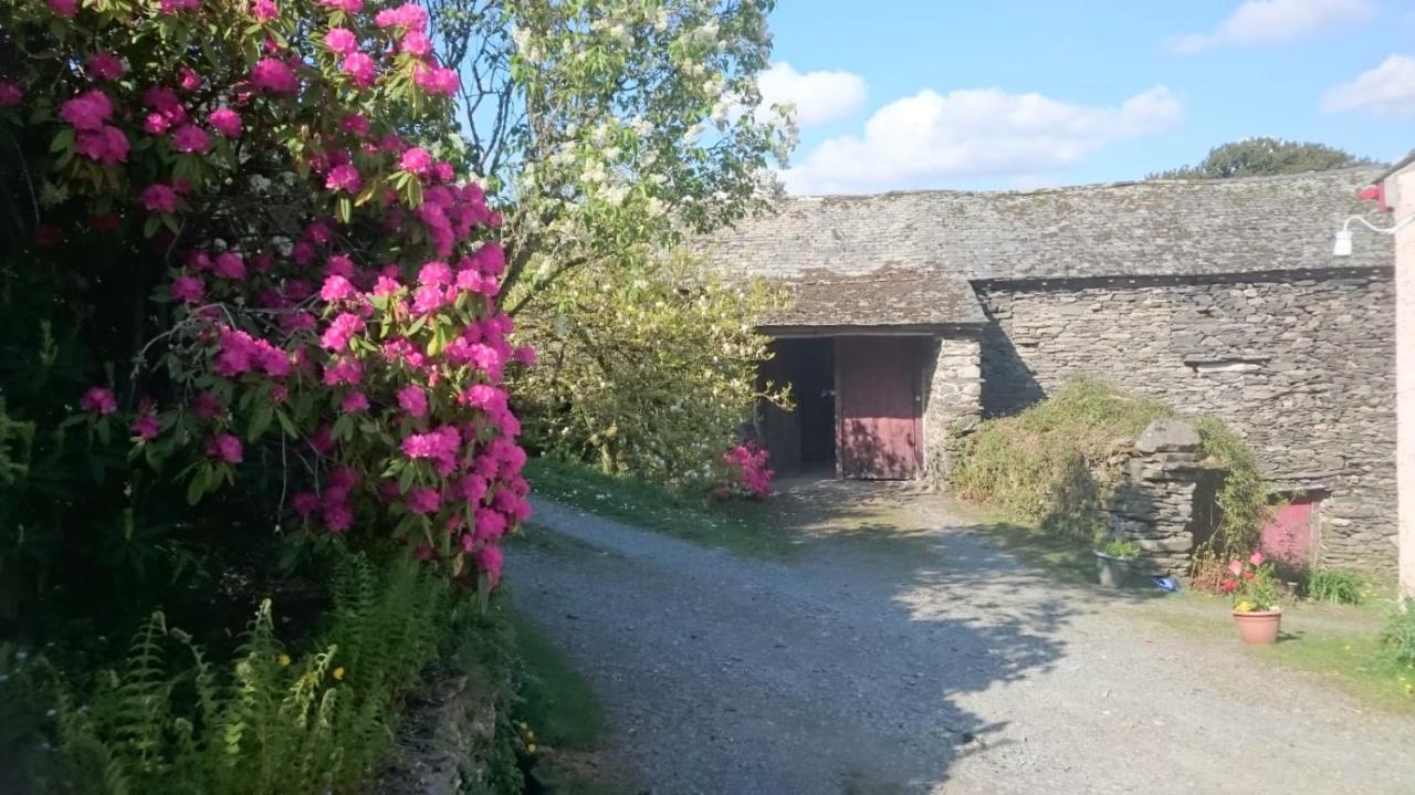 Low House Farm North, Troutbeck, Windermere Exteriér fotografie